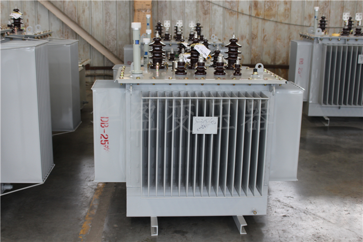 广元S20-800kVA/10kV/0.4kV变压器